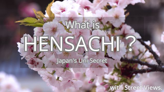 What University Means to Japanese Students (National vs. Private & More)