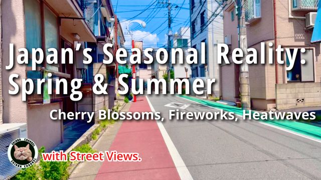 Japan’s Four Seasons Explained: Cherry Blossoms, Summer Festivals, and Real-Life Tips