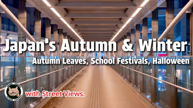 Japan’s Autumn & Winter Explained: Festivals, Traditions, and Daily Life